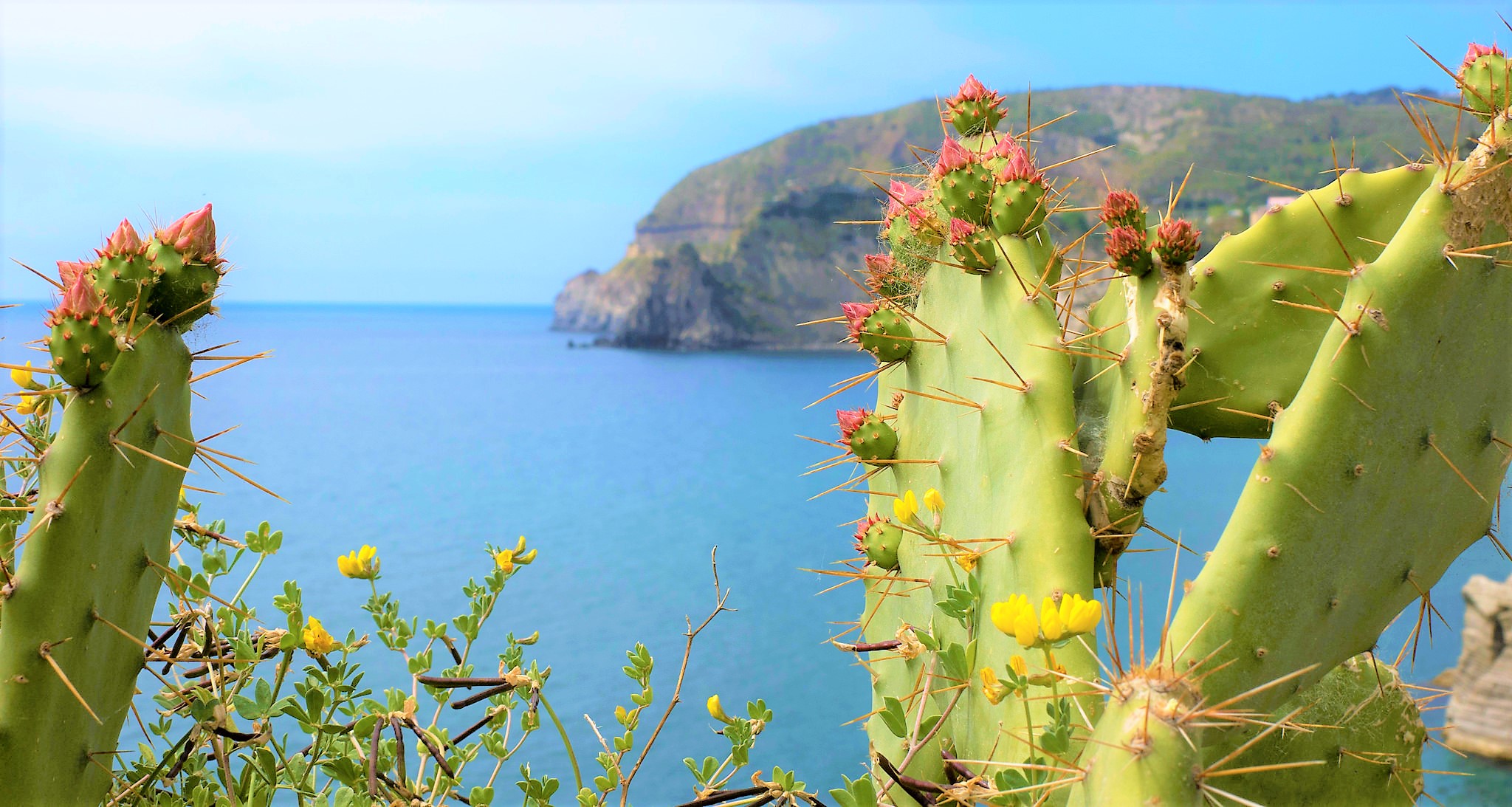 mare-ischia